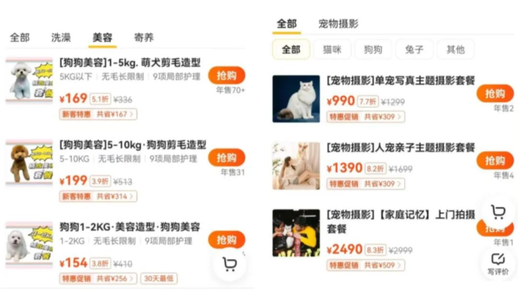 身价上万的宠物年前被扔到街上